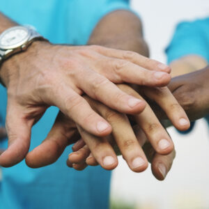 Charity Web Solution Standard