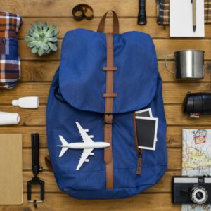 Travel and Tourism Web Solution Standard