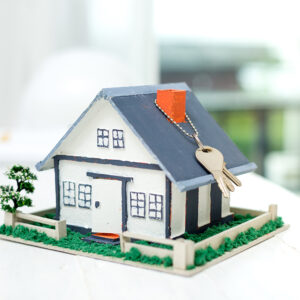 Real Estate Web Solution Standard