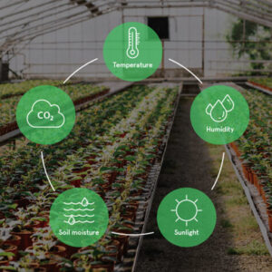 Greenhouse Control & Monitoring Solution